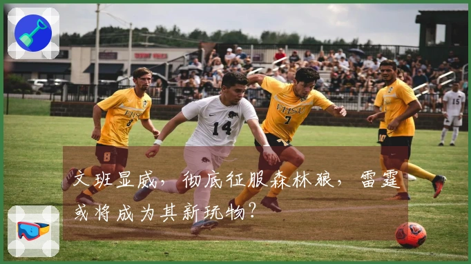 文班显威，彻底征服森林狼，雷霆或将成为其新玩物？
